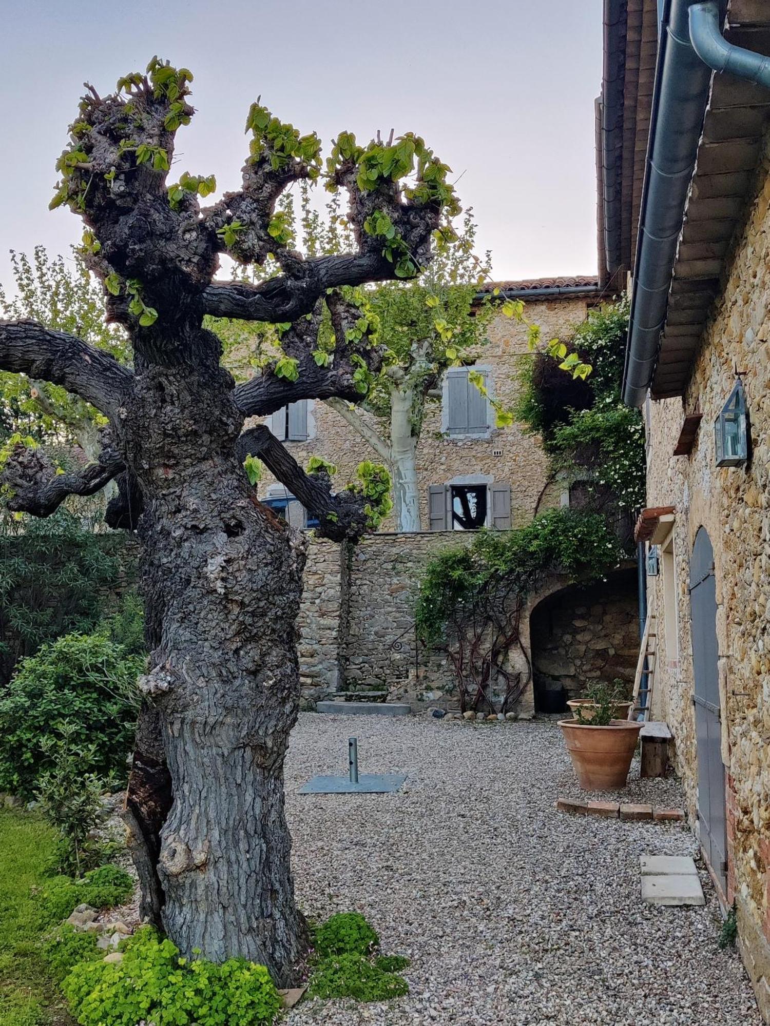 L'Etoffe, Charmante Chambre Dans Un Mas Cevenol Boisset-et-Gaujac Exteriér fotografie